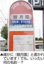 tashikame_0910-001